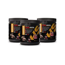 근육량 알약 독일산 크레아틴 파우더 마이크로화 일수화물 일수화 후 운동 3캔 900g 180인분