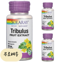 Saponin Tribulus 사포닌 450mg 60개입 [미국 직배송], 1개, 60개