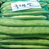 23년 수확 국내산 4kg 생작두콩 햇작두콩