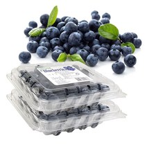 생 블루베리 250g (125g 2팩), 1개, 125g*2팩