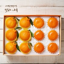 [빛과나무] [퀵/서울전역]프리미엄팩 제주한라봉.천혜향 5kg(한라봉10입 천혜향10입)+, 상세 설명 참조
