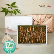 5-10년근 국내산 산양삼 산삼 산양산삼 장뇌삼 장뇌산삼, 6년근 실속형 20뿌리 (1상자)
