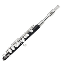 JINXIN 피콜로 풀세트 피콜로 악기세트