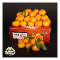 서귀포 하례마을 노지감귤 10kg ( 2S/S/M 140과 내외)