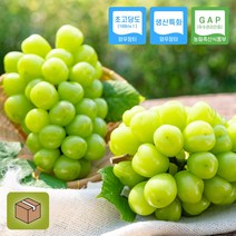 경북 상주 GAP 샤인머스캣 2kg 프리미엄 20브릭스 고당도 망고포도 샤인머스켓, 프리미엄 샤인머스캣 2kg(3수)