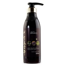 다바찌 헤어케어 어성초 샴푸(두피영양공급) 500ml, 1