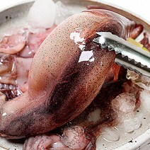 [국내산] 동해 생물 활 대왕 무늬 오징어 1kg [1kg 기준 3~5미 내외] 국내산 당일 조업 산지 직송, 3kg
