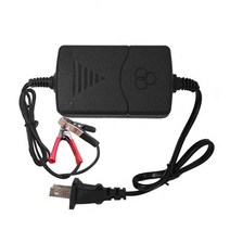 퍽셔충전기 오토바이 자동차 지게차 산업용 카트 배터리 밧데리 충전기 12v car battery charger universal eu 플러그 스마트 밀봉 납 트럭 액세서리, 협력사, 우리 플러그