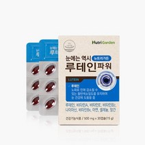 식약처 인정 눈에는 역시 루테인 파워 뉴트리 가든 마리골드 셀레늄 망간 미네랄 비타민 눈 건강 영양제 추천 알 약 모양 캡슐 식약처 인증 장기 복용 법 방법 먹는법 먹는방법, 루테인 30캡슐x2박스 (총60캡슐)