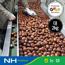 농협 선별 2022년 부여 햇밤 대사이즈 2kg 4kg 택1 / 굿뜨래 / 산지직송, 대4kg