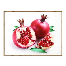 기타 바보사랑[조아트]풍수 인테리어 벽걸이 액자 퓨어석류[무료배송], 상세 설명 참조