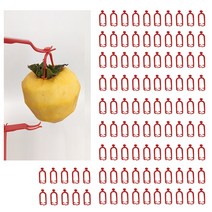 10개걸이 곶감 걸이 10개(100개용) 곶감만들기