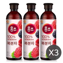 청정원 홍초 복분자 디저트 식초 음료 900mlx3개, 3개, 900ml