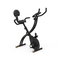 실내자전거 LPX1 접이식 엑스 바이크 헬스 사이클, 단품