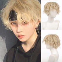 남성 엠자가발 남자커트가발 m자커버 정수리 앞머리 부분가발 WEILAI 남자 합성 가발 짧은 갈색 머리, 한개옵션1, 19 AK06-6