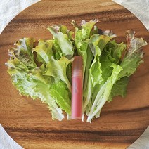 아기 상추 적상추 1kg 어린잎 샐러드 채소 반반세트 당일작업, 아기상추1kg 쑥갓1kg