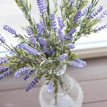 힐링되는 예쁜 라벤더 원룸 오피스텔 실내 조경 현관 홈스타일링 좁은방꾸미기 촬영소품 미술관, 상세페이지 참조