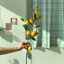 시트러스 레몬 나무 조화 2size, S