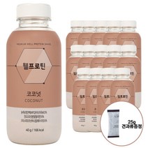 웰프로틴 코코넛 15개입 1박스+견과류1봉 추가증정 맛있는 단백질 쉐이크 선식, 1개
