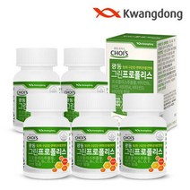 광동 브라질 그린 프로폴리스 5박스 (500mg x 60캡슐) 아연, 단품, 단품