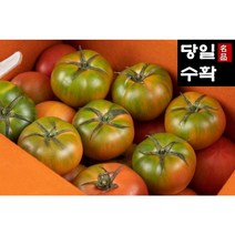 [농협인증 농가직송] 당일수확 부산 대저 짭짤이 토마토 2.5kg 로얄과 심콩푸드, A급 프리미엄 대저 토마토2.5kg(M)
