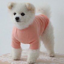 럭키페터 무지 강아지 옷 소형견 대형견 티셔츠, 피치
