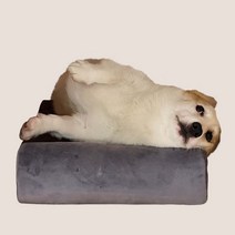 1040펫 몽상팔베개 강아지 고양이 척추보호 방석 쿠션