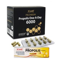 하이웰 프리미엄 프로폴리스 원어데이 6000mg 120캡슐, 1개