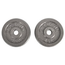 스포뱅크 역기원판 2p, 2.5kg, 다크그레이, 2개