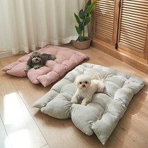반려동물 방석, 노란색