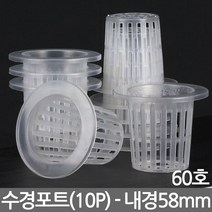 수경 포트 50호 10개입 - 수경포트 화분 수경재배 수경식물 화분 수경포트망 포트망 수경재배망 망포트 매쉬포트
