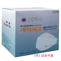 에브리데이 kf94 미세먼지마스크 대형 개별포장, 100장