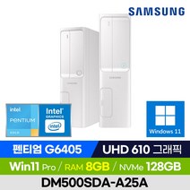 [신모델 출고!] 삼성전자 데스크탑 DM500SDA-A25A 슬림PC 사무용 인강용 가성비 (Intel 펜티엄/UHD 그래픽/윈도우11 Pro), 128GB, 8GB, 윈도우11 포함