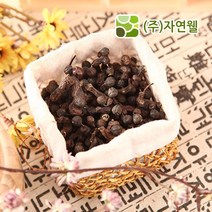 자연웰 무배 국산 헛개열매50g*2개 한약재 한방재료 약재 헛개차 헛개열매, 50g, 2개