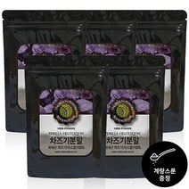 프리미엄 눈엔 차즈기 자소엽 분말 국내산100% 차조기 차 티백 온가족용, 310g, 5개
