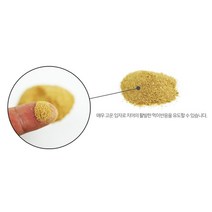 어린 열대어 치어 성장 가루 사료 50g 파하카복어, 1개