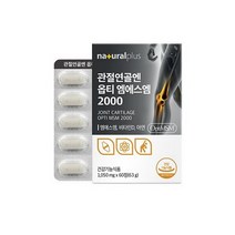 내츄럴플러스 관절연골엔 옵티 엠에스엠 2000, 01. 60정, 1개
