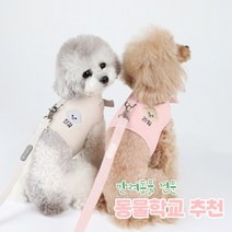 [리토가토] 러비 커스텀 캐릭터 강아지 하네스 5가지 색 (컴퓨터 자수) 동물학교 추천, 핑크