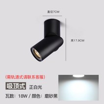 가정용드기 LED 노출이 없는 스핀 스포트라이트 복장가게 무 주등 COB 엣지 지도함 궤도 전시장 빛을 4539502893, 블랙 엣지 18W -백광 -푸루이 칩