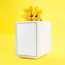 LED 거울기능 화장품냉장고 미니 소형 음료 냉장고, 그린