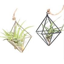 2021 hand made wicker 등나무 꽃 바구니 green vine pot planter hang vase container wall plant basket for gar, 25-36mm
