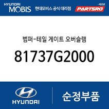 범퍼-테일 게이트 오버슬램 (81737G2000) 제네시스 GV70 제네시스 GV60 아이오닉 전기차 아이오닉