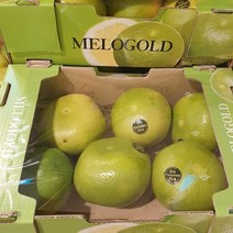 메로골드 미국산 자몽 3kg이상