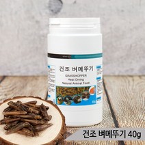 열풍건조 벼메뚜기 40g 소동물 앵무새 고단백질 간식