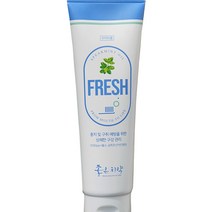 입냄새 고민해결 상쾌한 민트향 닥터초이스코리아 좋은치약 프레시 무파라벤 치약, 1개