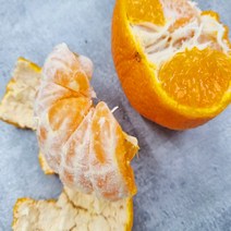 [GAP인증] 신품종 제주도 고당도 탐라향 가정용 선물용 3kg 5kg 10kg, 가정용 혼합과 (S-2L) 10kg