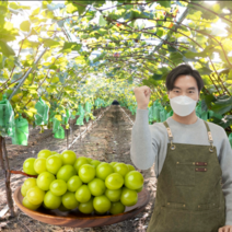 먹사부 국내산 샤인머스켓 선물세트 가정용 선물용 1kg 2kg 4키로 2수 3수 특등급 보자기 에어포장 선물세트, C2.샤인머스켓 (2kg내외)(보자기)