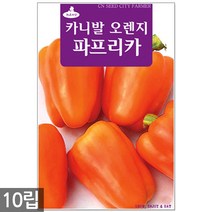 산마늘 씨앗 50립 - 산마늘씨앗 산나물씨 명이나물씨앗 명이나물씨 명이나물 마늘 쌈채소 나물씨앗, 12_오렌지파프리카(10립)