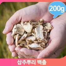 말린 건조 백출 200g 뿌리 삽주 담금주 한방재료 건강
