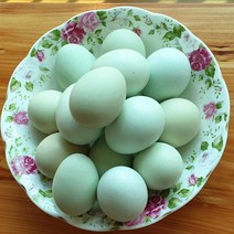 덕적골 자연청계란 부화용 20구 턱보청계, 1개, 2,240g